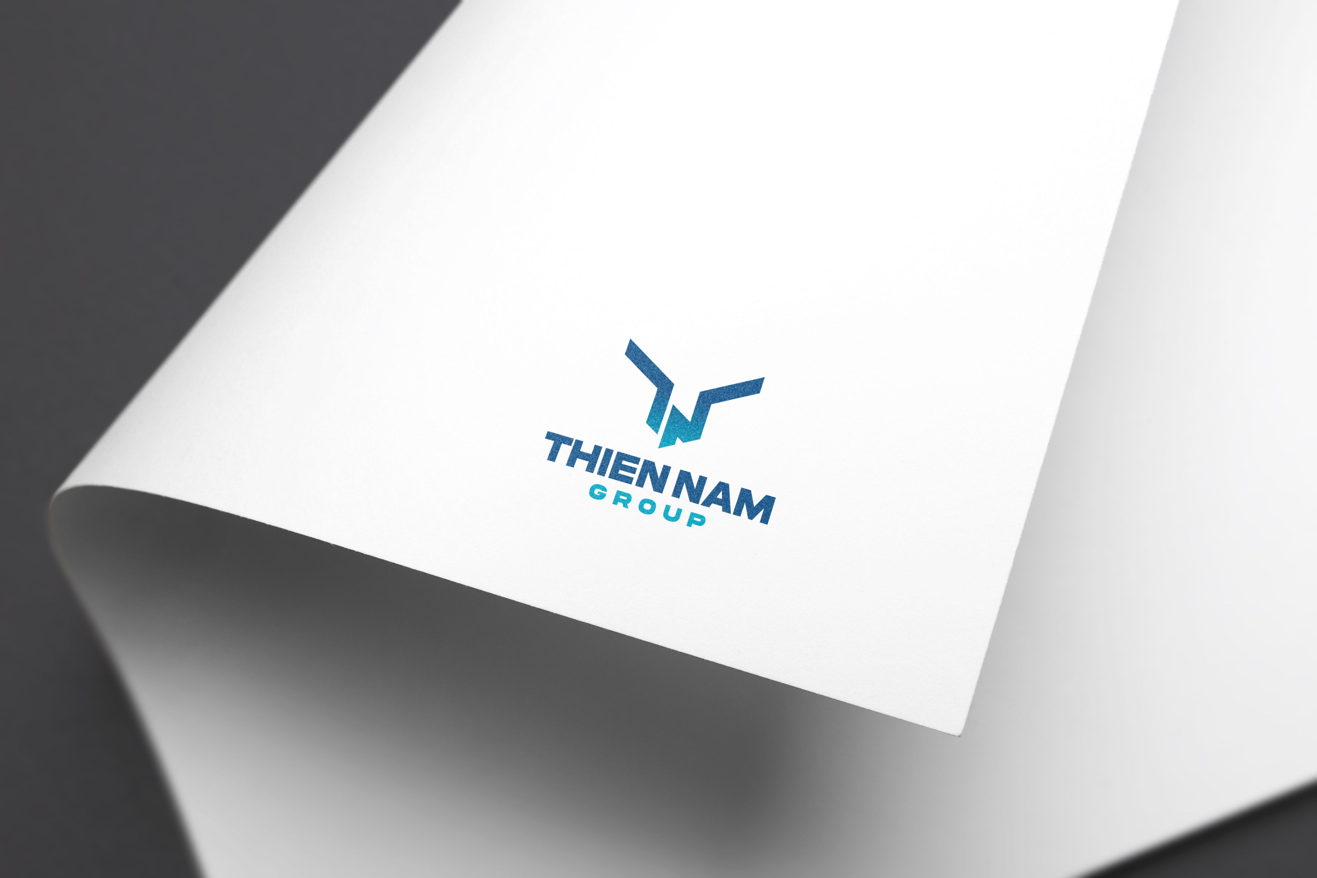 THIÊN NAM GROUP - Design Website and Brand Identity Thien Nam